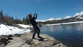 Nice Trout in Caples Lake's Limited Ice Free Water (CA)