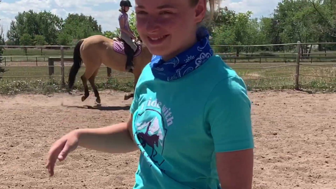 Team Leftin Chronicles 30 Indiana Equestrian Center Field Trip YouTube