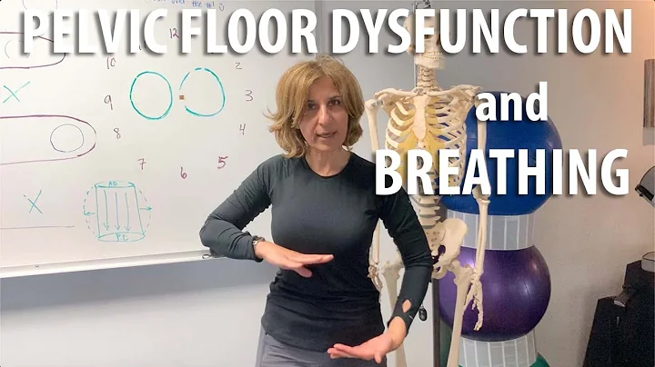 Pelvic Floor Dysfunction and Breathing explained by Core Pelvic Floor Therapy Doctor