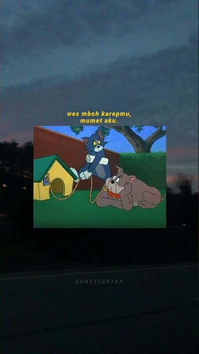 Story wa