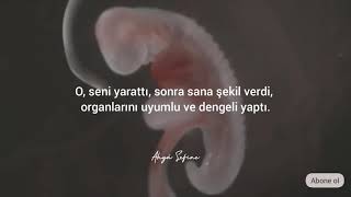 İnfitâr Sûresi,Abdussamed Abdulbasid | Ahyâ Sefine