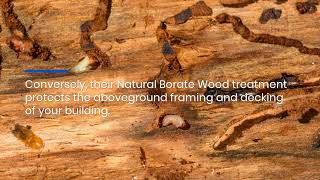 Experienced Kingwood, TX Exterminator Provides Pre-Construction Borate Wood Termite Treatments