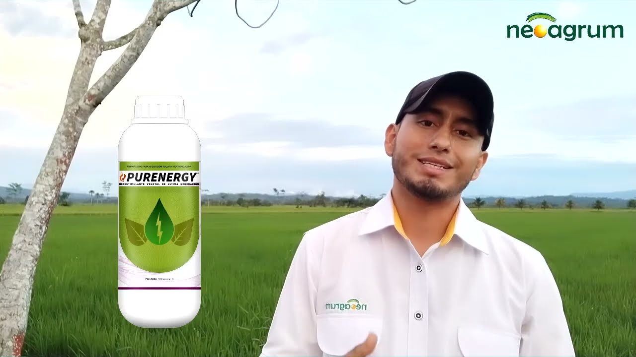 ¡Conoce más de nuestro producto Purenergy!