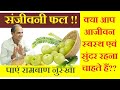          miraculous anti aging  health benefits of amla 