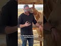 Tell me your horse is broken without telling me.#shorts #funnyhorse #horsememes #2026