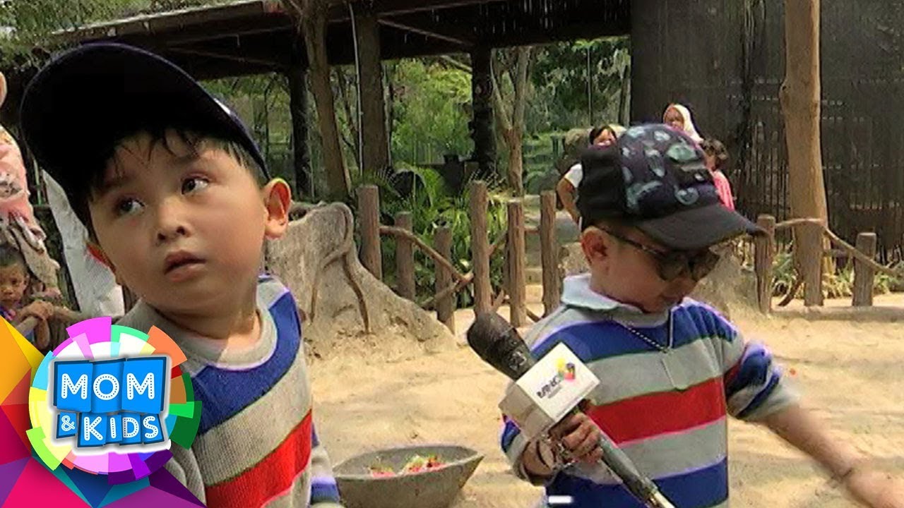Petualangan Daus Mini Dan Babang Ical Ke Fauna Land - Mom & Kids (20/10)