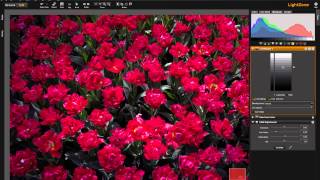 LightZone Zonemapper tool, Part 7 Luminosity mode vs  RGB mode