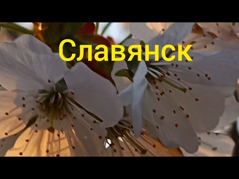 Славянск 21 Апреля