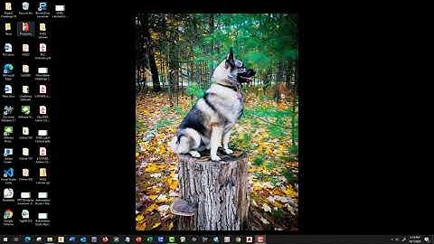 VHDL Latches Lab Startup-335