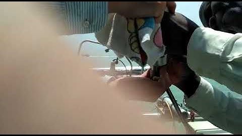 VID-20180821-WA0037.mp4