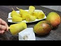 helados de mango biche - receta de helados de mango biche