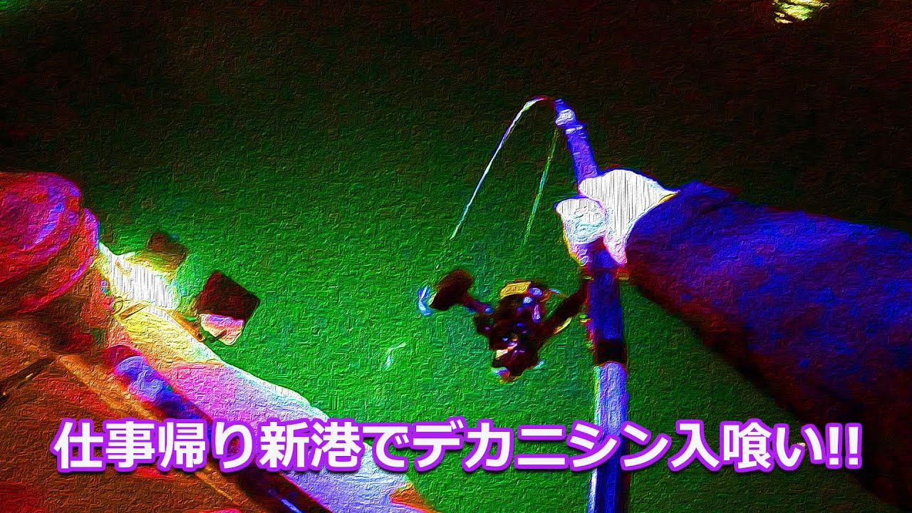 【北海道石狩湾・小樽釣り】仕事帰りに新港でデカニシン入喰い!!　2025.2.13　北国の生活（ニシン釣り、サビキ釣り、夜釣り、石狩湾新港樽川埠頭）