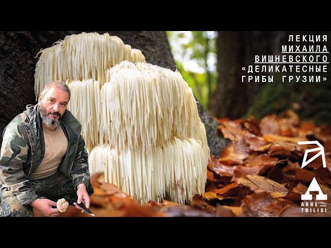 Михаил Вишневский: Деликатесные грибы Грузии