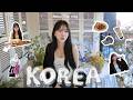 ほぼ月1韓国🇰🇷💙💭激推しショッピング/ヘアケア/グルメ/ヘアメイク/韓国プリクラ
