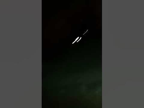 Побег из зоопарка - YouTube