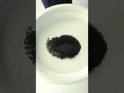The Strongest Naturally Occurring Magnetic Material on Earth!