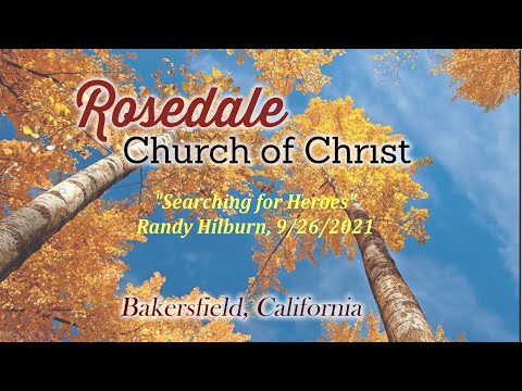 Video preview