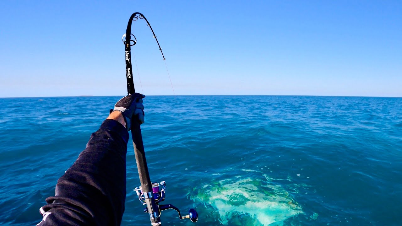 Extreme Fish Extreme Fish Extreme Fight - YouTube