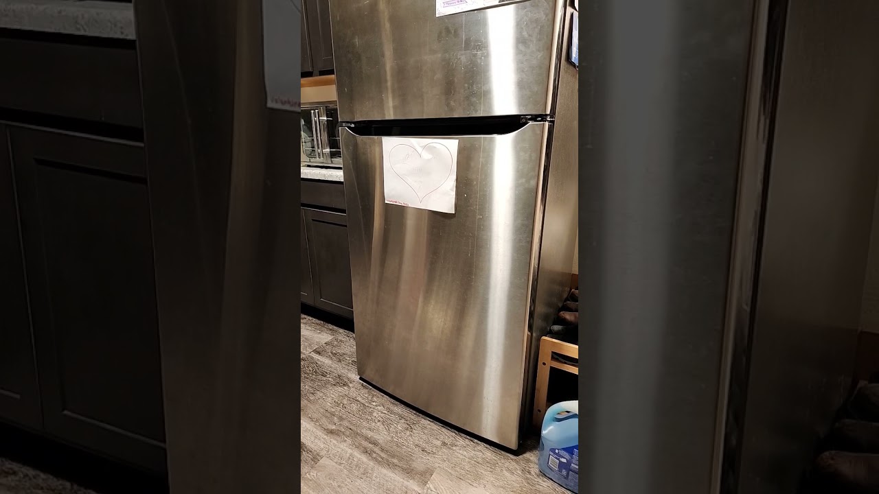 Questions of Animism. 