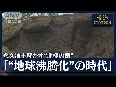 極端な気候でも枯れない!プロが実践する耐性植物の選び方と失敗しない3つのルール