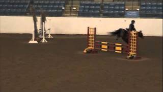 Echo at VHT Fall 2011-Stadium Jumping