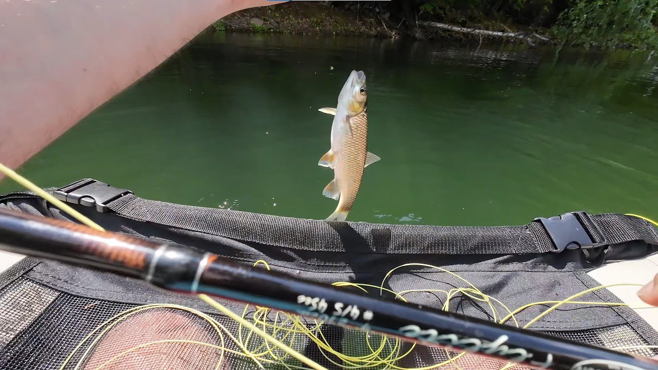 Cu belly boat pe Baraj Firiza