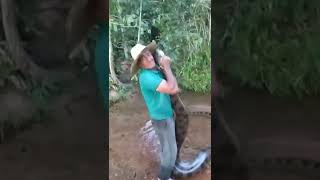 cobra gigantesca 😱