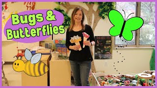 Preschool Bugs & Butterflies Theme