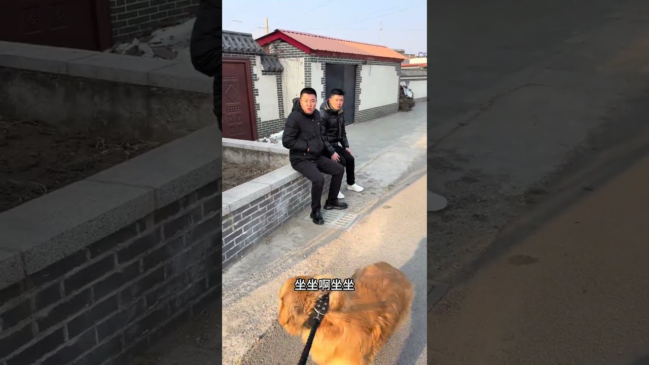 Today's Embarrassing Moments in the Countryside! 😂 Countryside Funny