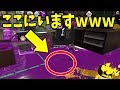 【スプラかくれんぼ】真ん中に隠れてまさかの奇跡www【前編】