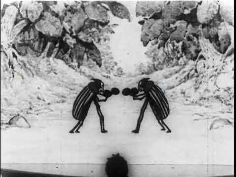 Bug Vaudeville — tráiler