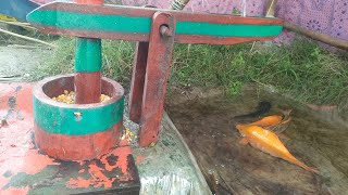 water powered pounder corn live | Amazing Water-Powered Corn Pounder in Action  | Papiya Farmhouse