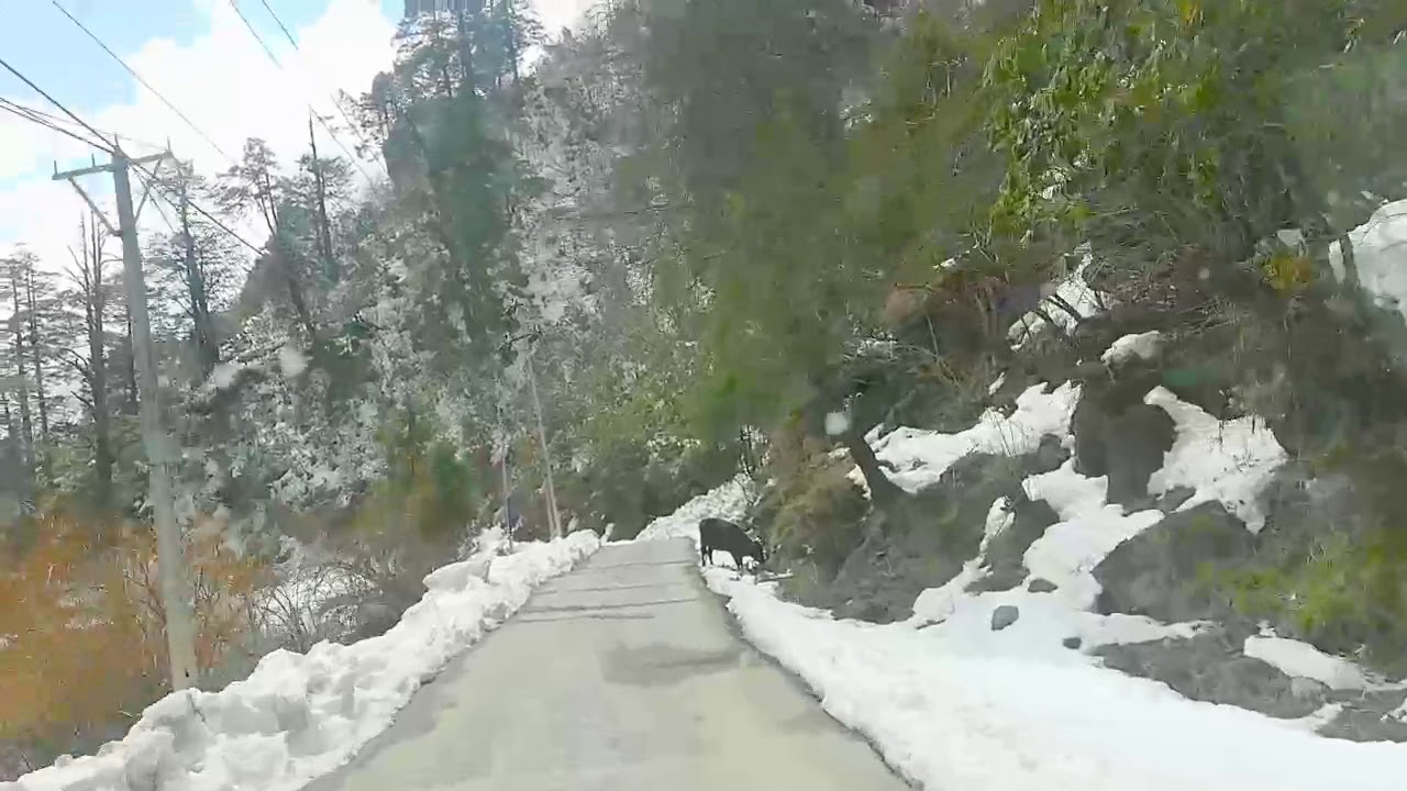Enjoy snow on the way - YouTube