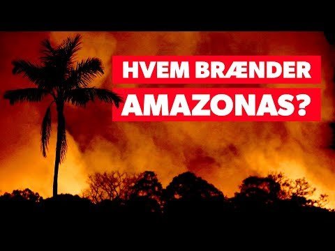 Video: Amazonas Regnskov Fyrer