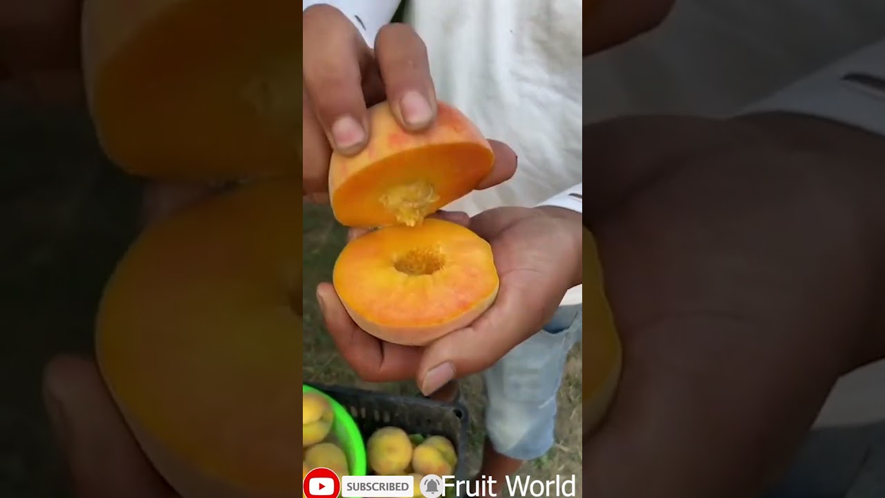 most satysfying video in the world 