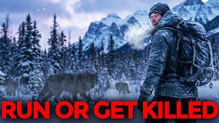 He Was 12km From the Trailhead When the Wolves Started Following