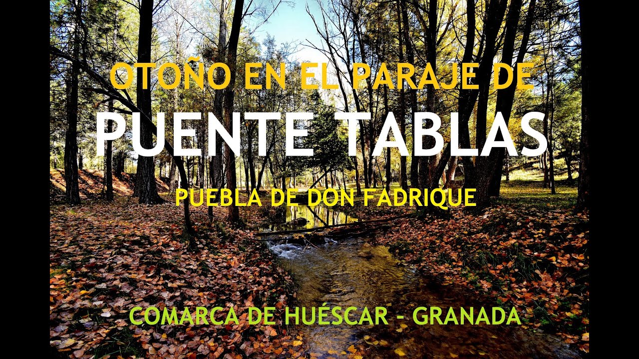 OTOÑO EN EL PARAJE DEL PUENTE DE LAS TABLAS