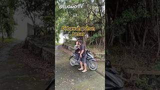 Berhenti Dijalan Sepi