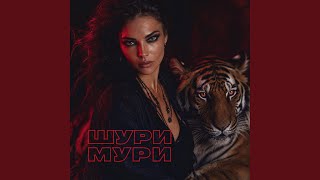 Шури-мури