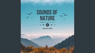 Flowing Echoes