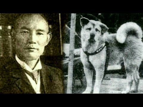 Vídeo: La Història Real Del Gos Hachiko