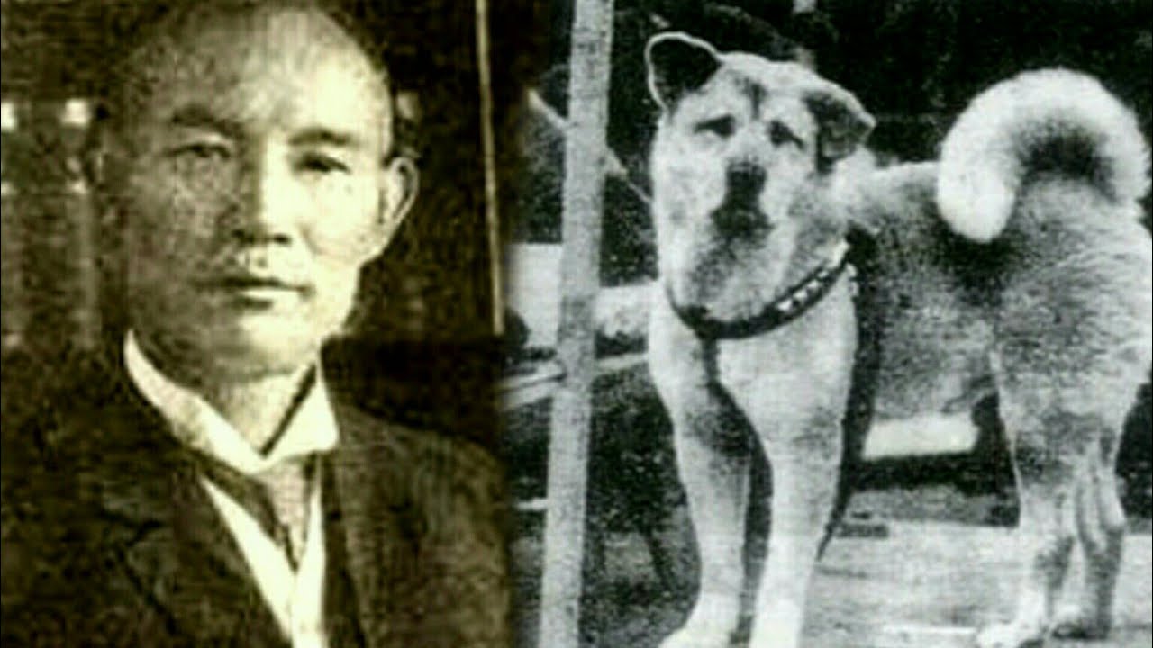 LA HISTORIA DE HACHIKO - YouTube