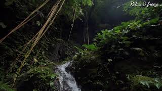 Nature Feel Bgm  Whatsapp Status Harris Jayaraj Bgm
