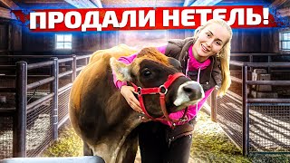 Новости Молодой фермы. Трудимся всей семьей! Молодая Ферма