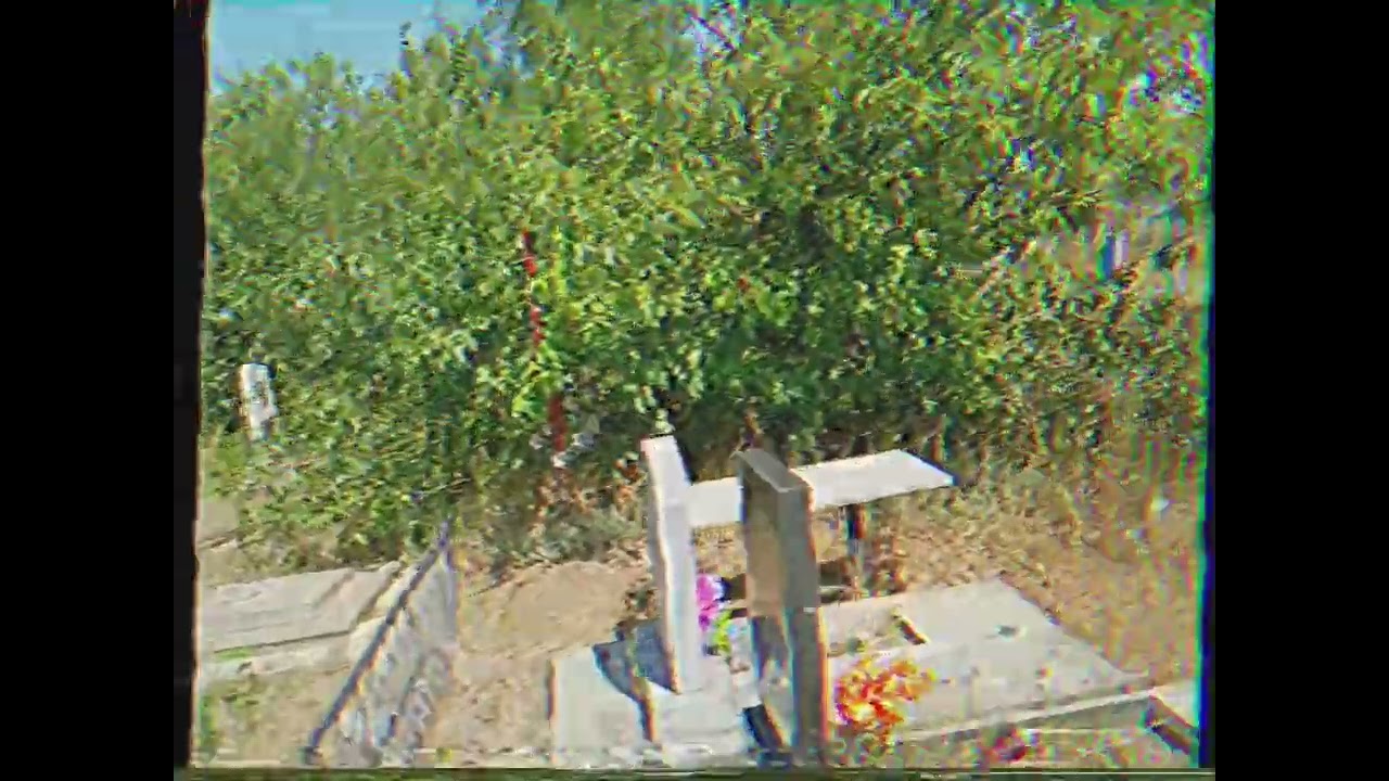 𝙸𝚕𝚘𝚟𝚎𝚢𝚘𝚞.vhs