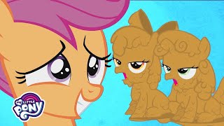 My Little Pony Songs | The Perfect Stallion Music Video | MLP: FiM | MLP Songs