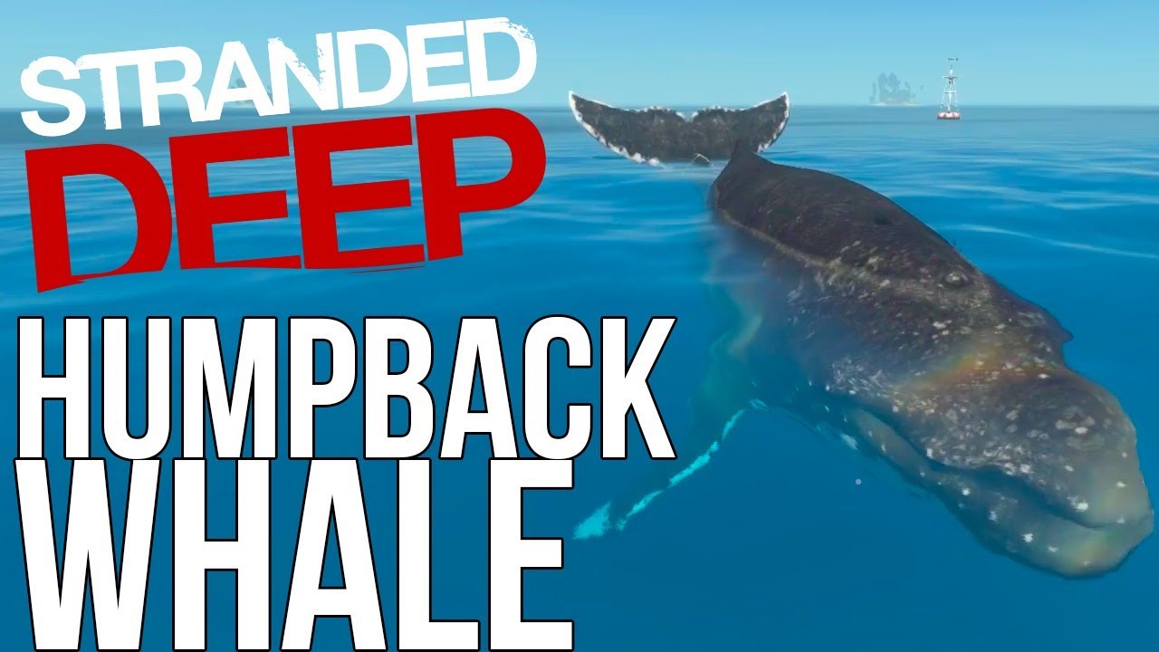 Stranded Deep - Finding a Humpback Whale!