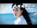 这首歌唱出无数人的心声 我明明那么好 太痛了 动态 拼音歌词 Lyrics 这首歌唱出无数人的心声 我明明那么好 太痛了 动态 拼音歌词 Lyrics
