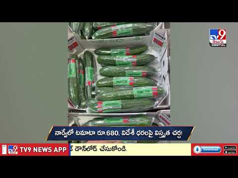 వామ్మో.. అవి టమాటాలేనా.. కేజీ ఎంతో తెలుసా? | Norway Vegetable Prices Shock Indians