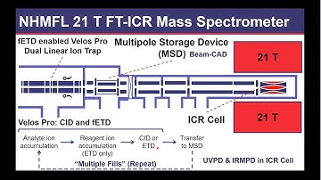 Lissa Anderson: Strategies for Analysis of Intact Proteins by 21 Tesla FT ICR Mass Spectrometry